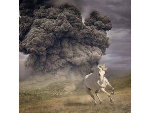 Rock / Indie / Alternative White Buffalo - Year of the Dark Horse LP (Gray)