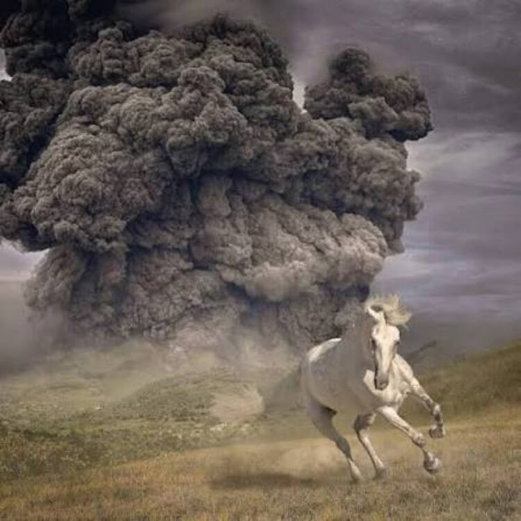 Rock / Indie / Alternative White Buffalo - Year of the Dark Horse LP (Gray)