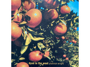 Rock / Indie / Alternative Shannon Wright - Died in the Wool LP (clear)