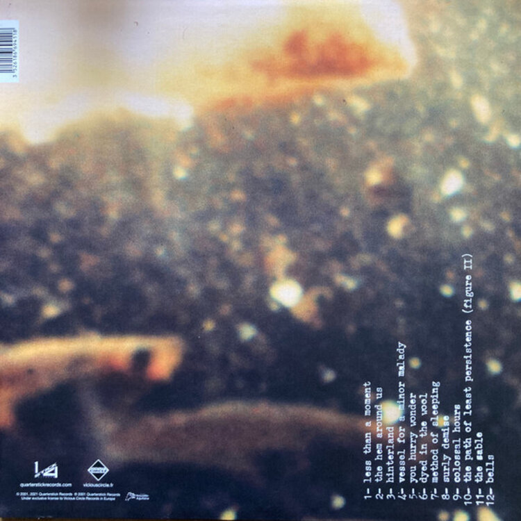 Rock / Indie / Alternative Wright, Shannon - Died in the Wool LP (clear)