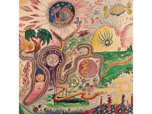 Rock / Indie / Alternative Youth Lagoon - Wondrous Bug LP