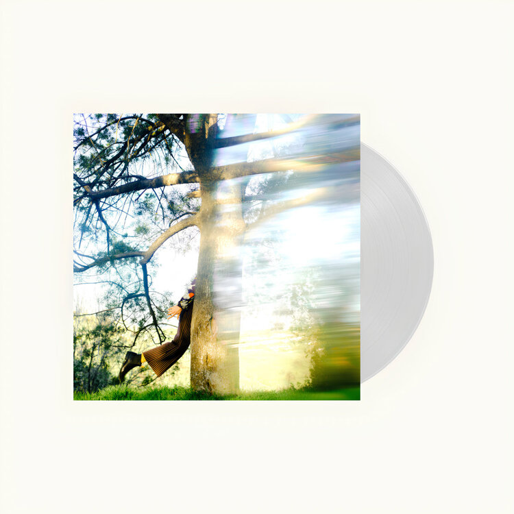 Shannon Lay - Past the Veil LP