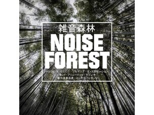 Ambient / Noise / Experimental Various - Noise Forest LP