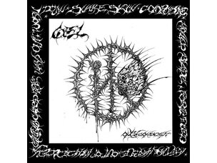 Punk / Hardcore Gel - Only Constant LP