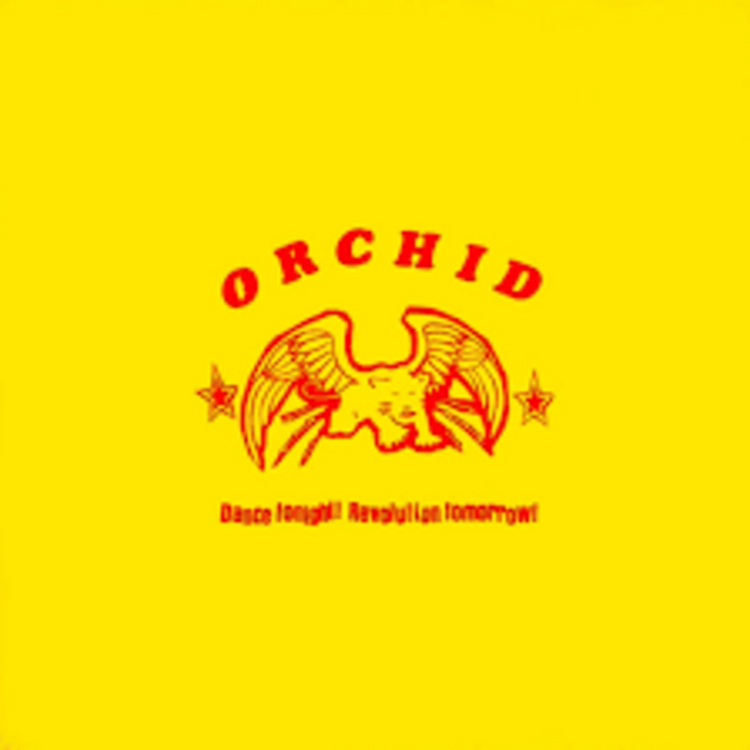 Punk / Hardcore Orchid - Dance Tonight 10" (orange)