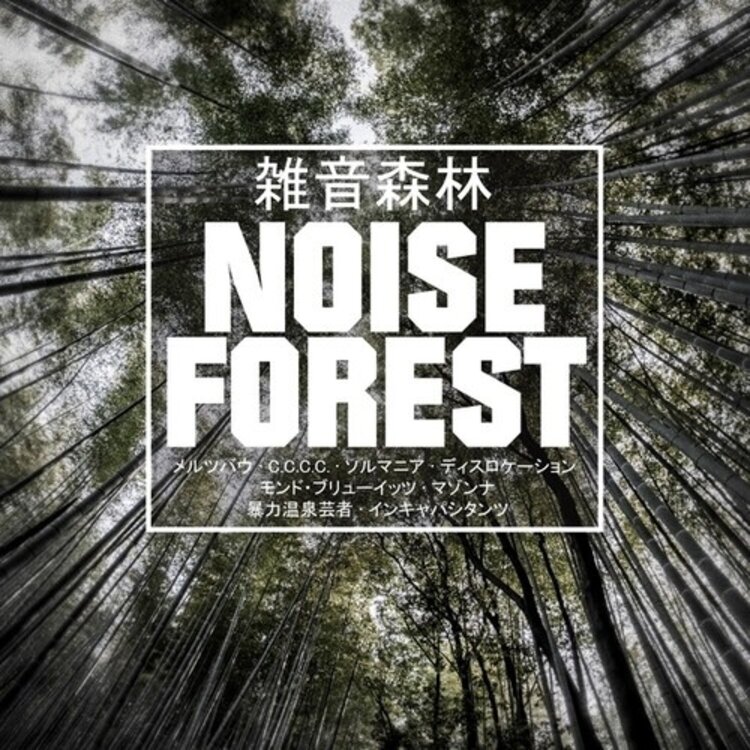 Ambient / Noise / Experimental Various - Noise Forest LP