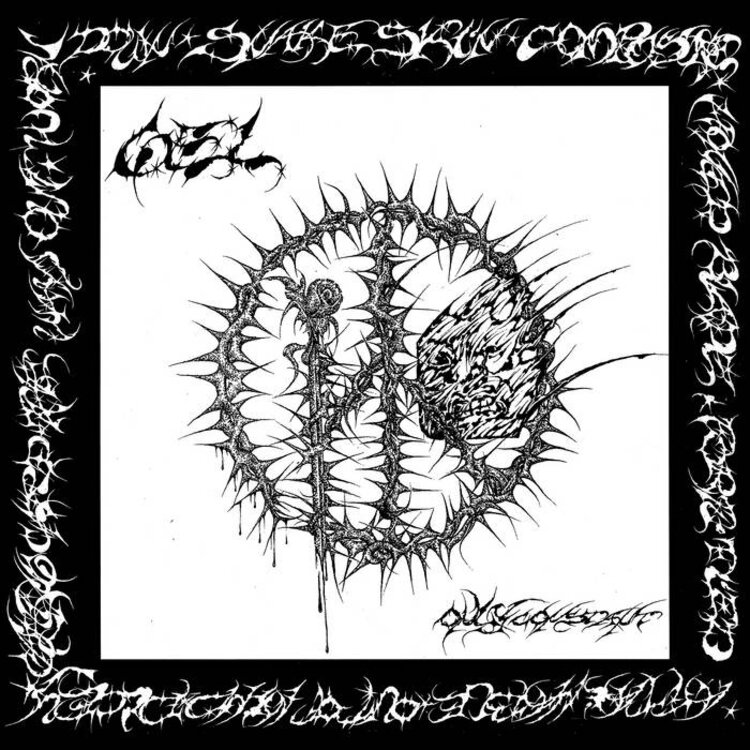 Punk / Hardcore Gel - Only Constant LP