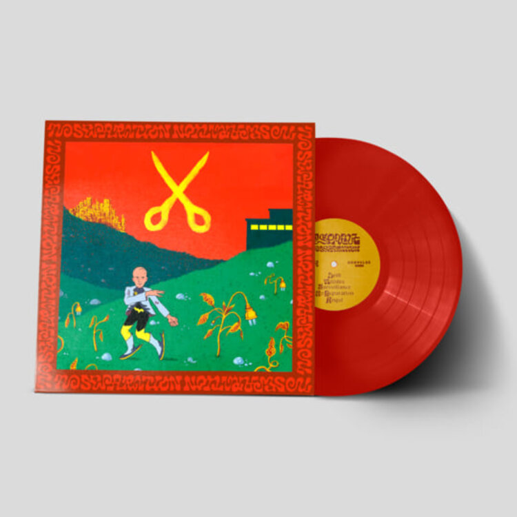 Punk / Hardcore MSPaint - No Separation LP