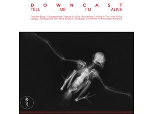 Punk / Hardcore Downcast - Tell Me... LP
