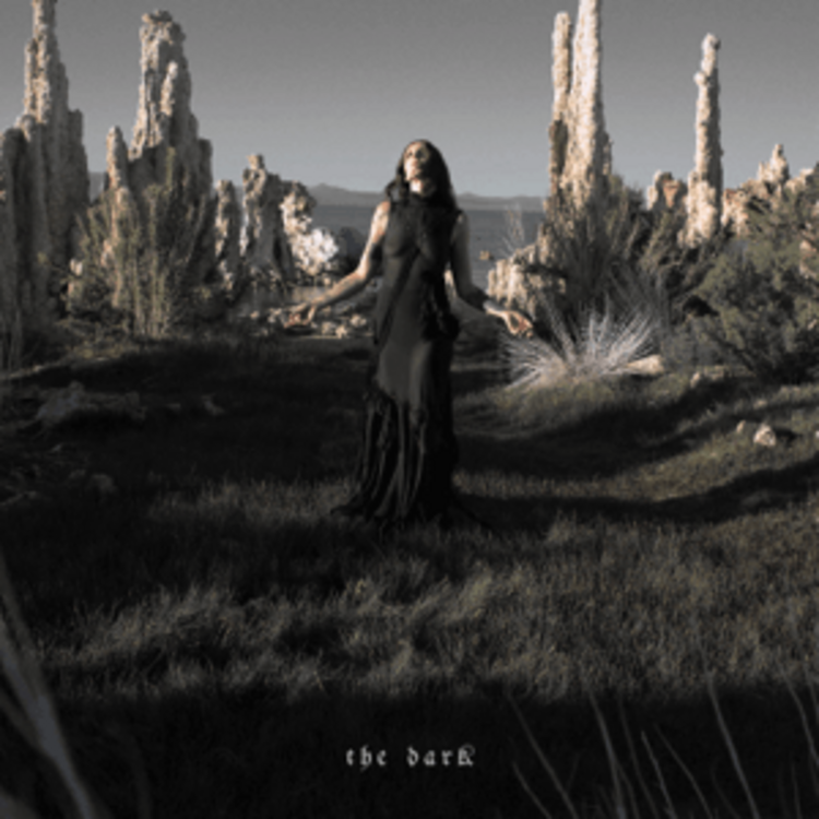 Rock / Indie / Alternative Chelsea Wolfe- Dark LP (indie green)
