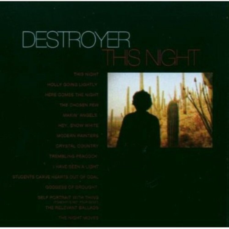 Rock / Indie / Alternative Destroyer - This Night