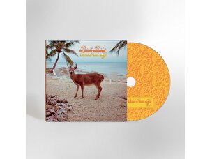 Rock / Indie / Alternative Fruitbats - Gold Past Life CD