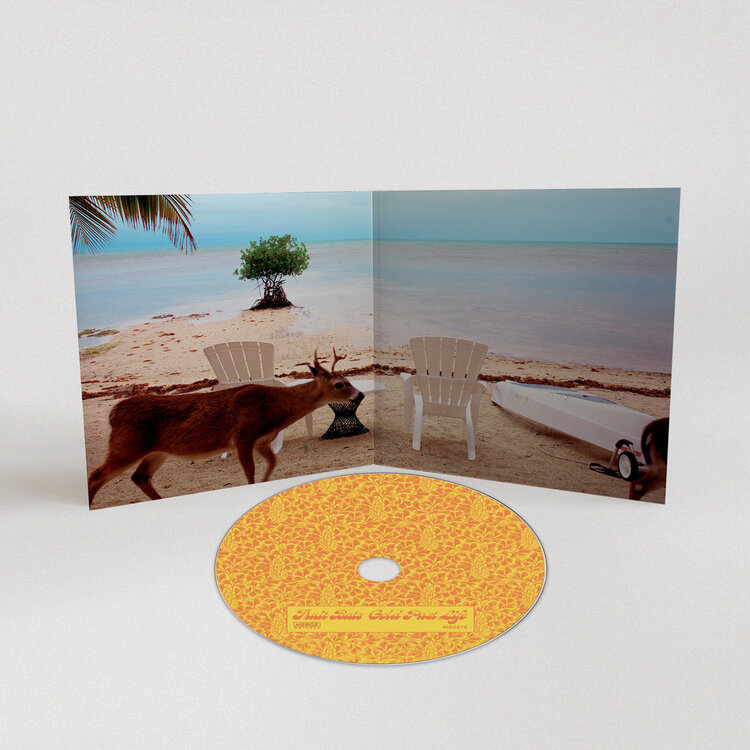 Rock / Indie / Alternative Fruitbats - Gold Past Life CD