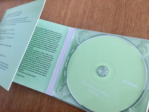 Rock / Indie / Alternative Kammerflimmer Kollektief - Wilding CD