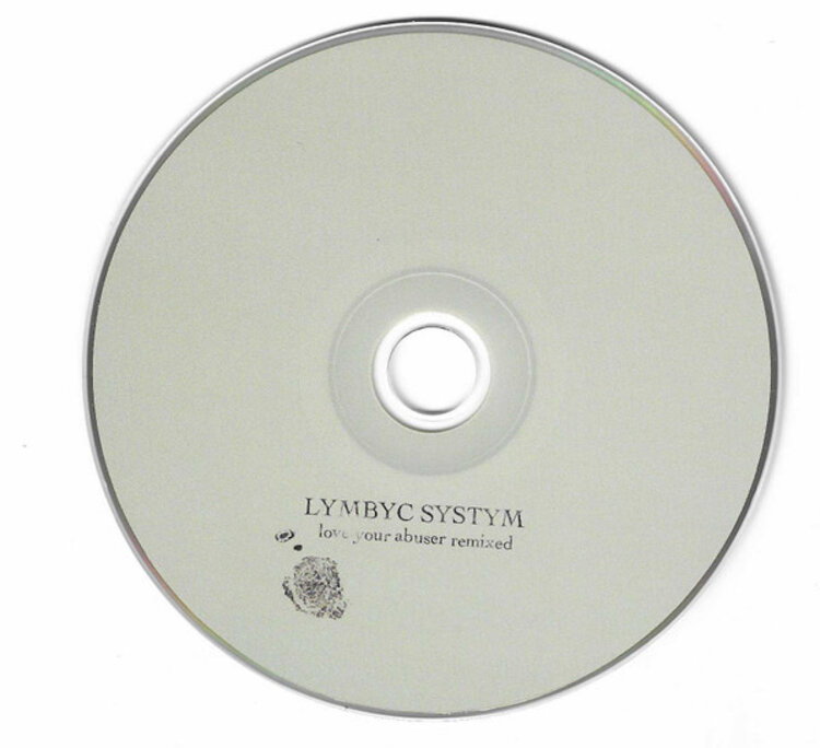 Rock / Indie / Alternative Lymbyc Systym - Love Your Abuser remixed