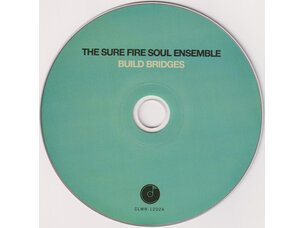 Rock / Indie / Alternative Sure Fire Soul Ensemble - Build Bridges CD