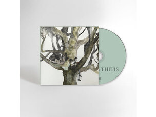 Destroyer - Labyrinthitis CD