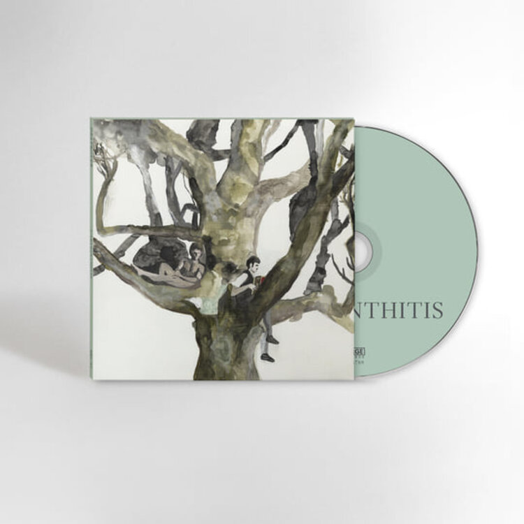 Destroyer - Labyrinthitis CD