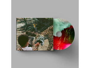 Unknown Mortal Orchestra - V CD