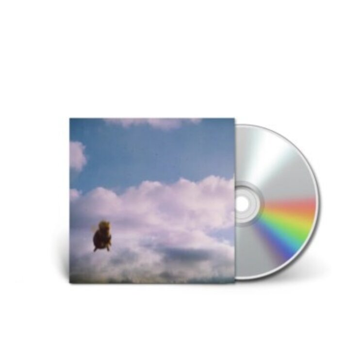 Pond - Stung! CD