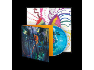 Bonnie "Prince" Billy 'We Are Together Again' CD