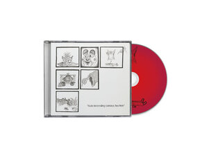 Teen Suicide 'Nude descending staircase headless' CD