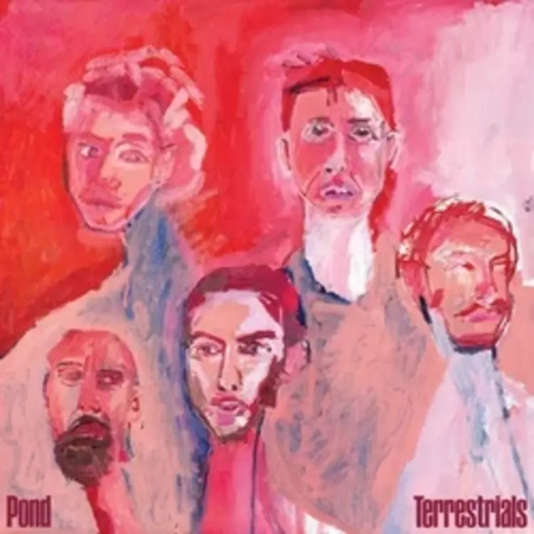 Pond 'Terrestrials' CD