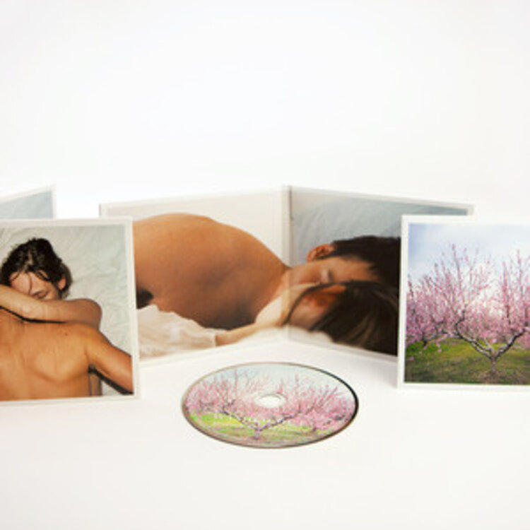 Rock / Indie / Alternative Washed Out - Within Without CD