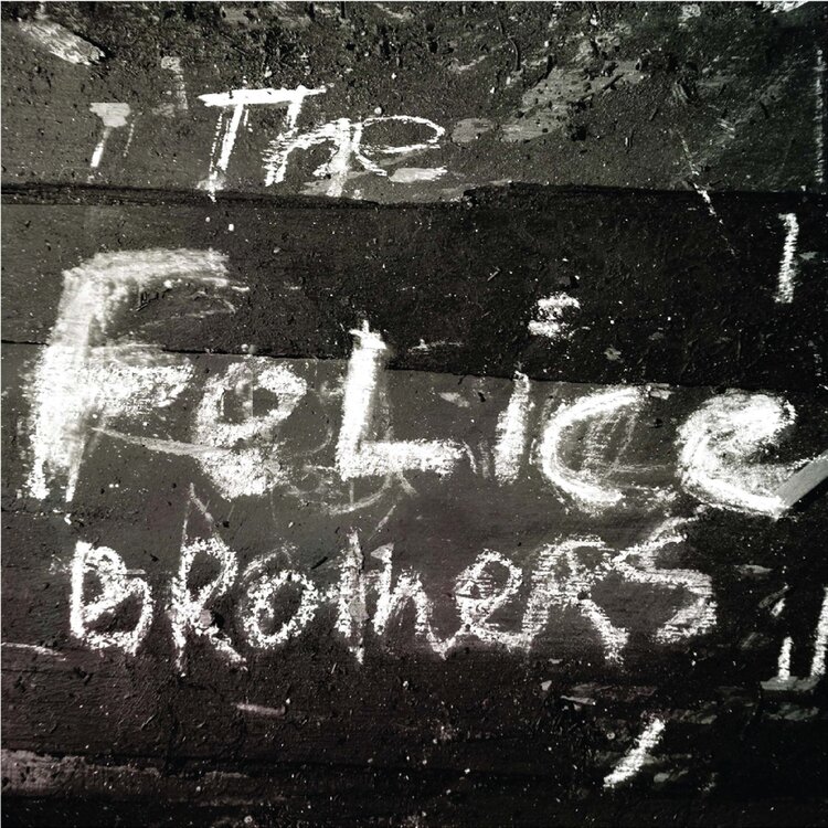 Rock / Indie / Alternative Felice Brothers - Felice Brothers - Silver LP