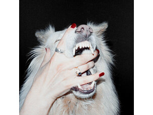 Porch Light - Hush LP