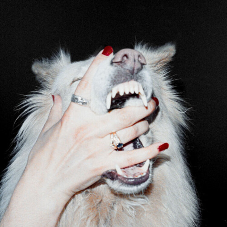 Porch Light - Hush LP
