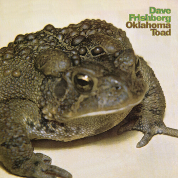 Jazz Dave Frishberg - Oklahoma Toad LP