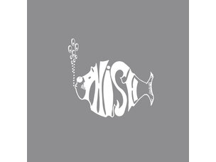 Phish - White Tape LP (green)