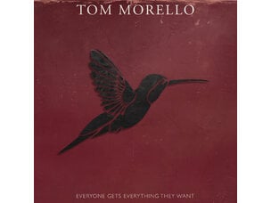 Rock / Indie / Alternative Tom Morello,- Everyone Gets Everything They Want (REBEL SWIRL VINYL) LP