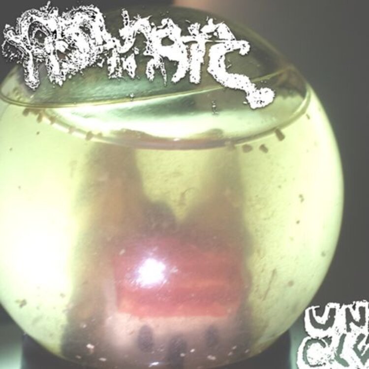 Rock / Indie / Alternative fish narc - Uncle LP
