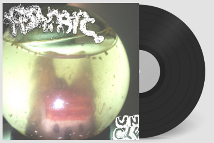 Rock / Indie / Alternative fish narc - Uncle LP