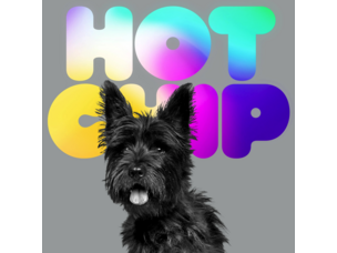 Rock / Indie / Alternative (1/8/27) Hot Chip - A Long Way From Kansas LP