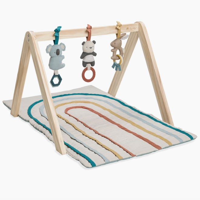 Itzy ritzy itzy ritzy wooden activity gym