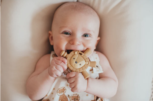 Itzy ritzy itzy ritzy molar teether