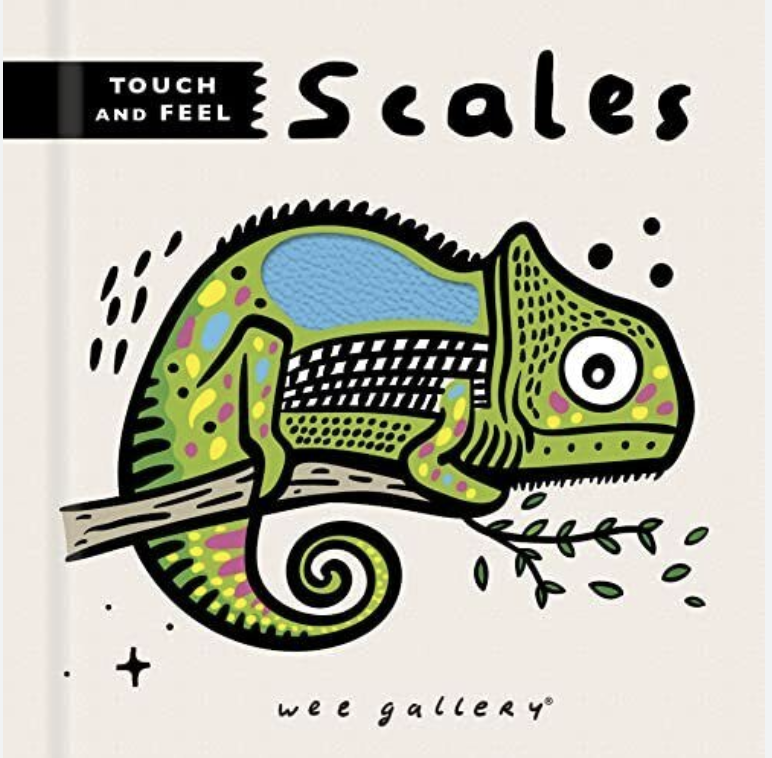 Quarto Publishing Group USA touch and feel
