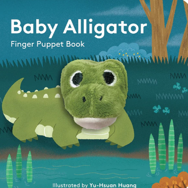 hachette baby