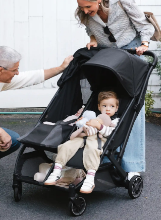 Uppababy UPPAbaby MINU Duo Stroller