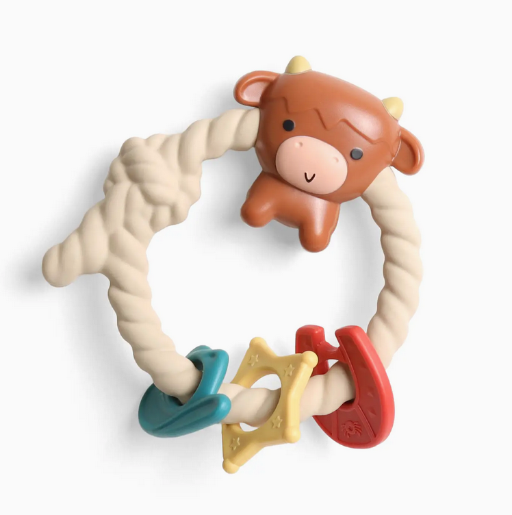 Itzy ritzy itzy ritzy rattle silicone teether