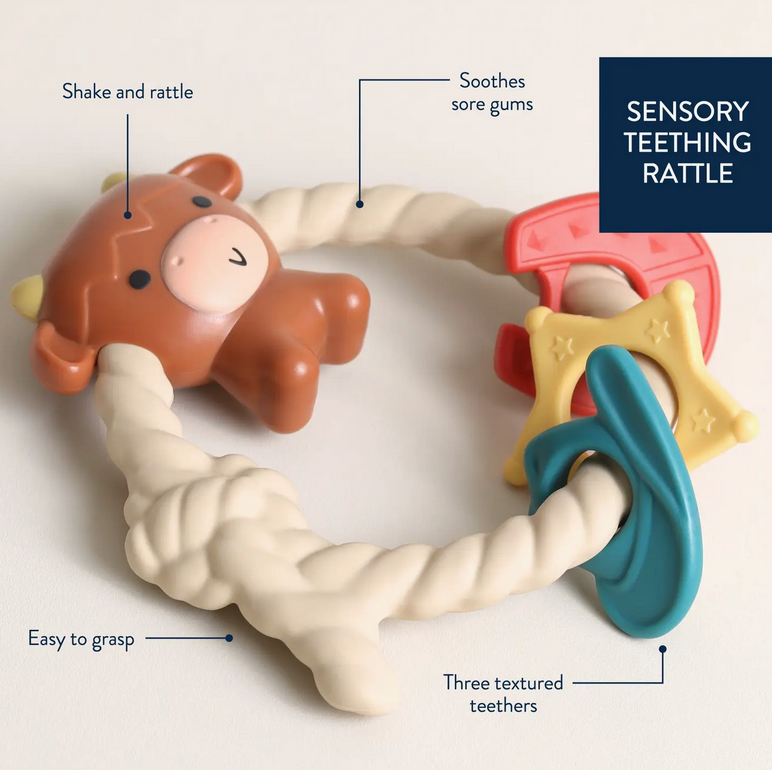 Itzy ritzy itzy ritzy rattle silicone teether