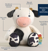 Itzy ritzy itzy sweetie snuggles