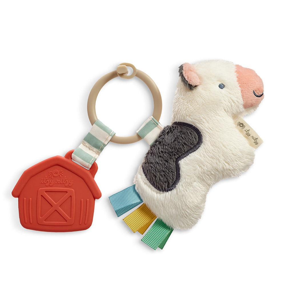 Itzy ritzy itzy ritzy pal plush + teether