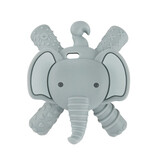 Itzy ritzy itzy ritzy molar teether