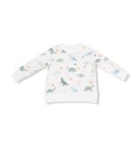 angel dear angel dear dinos jogger set