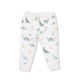 angel dear angel dear dinos jogger set