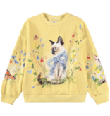 molo molo nature bow sweatshirt